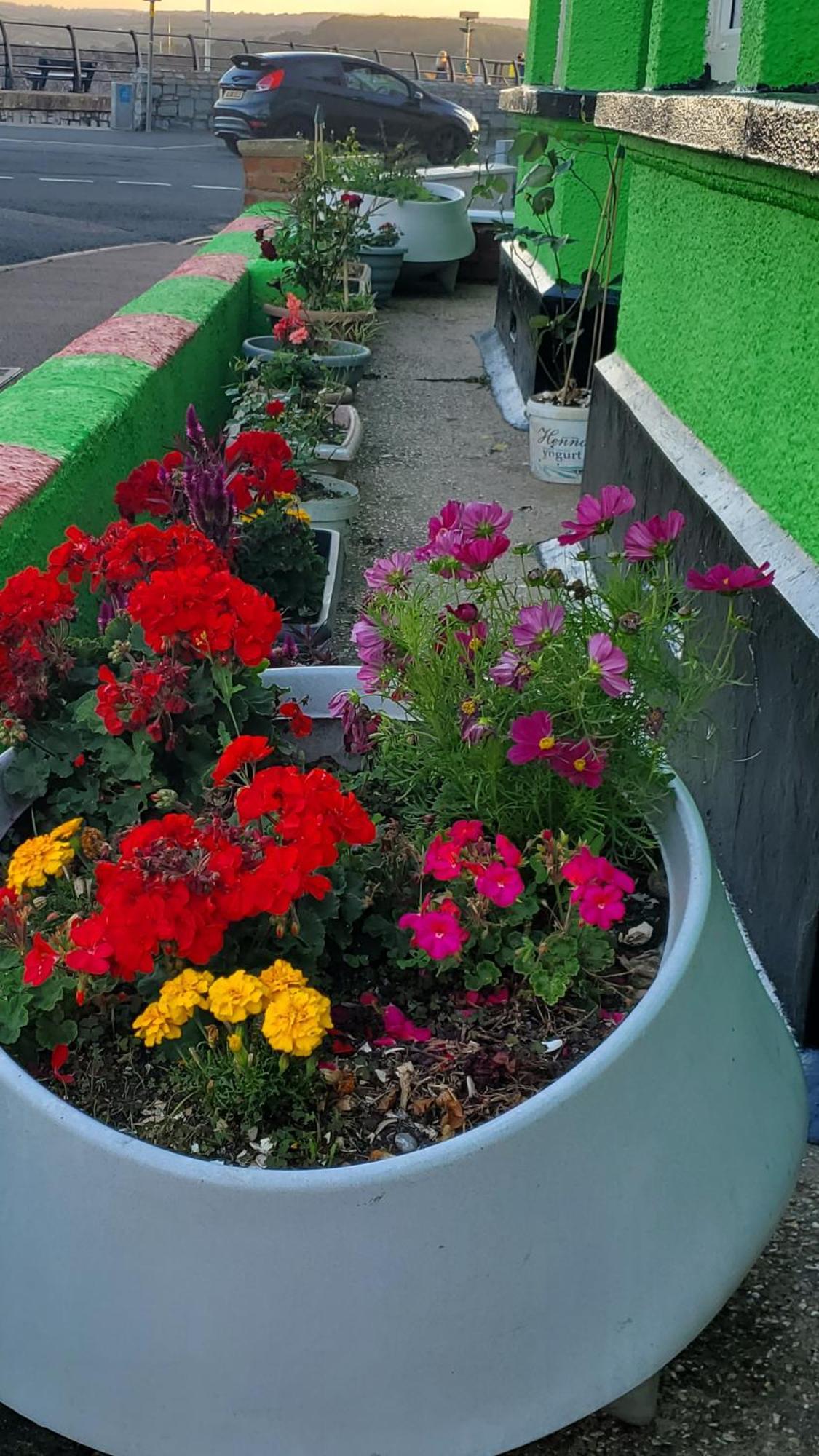 Ash Hotel B&B Exmouth Bagian luar foto